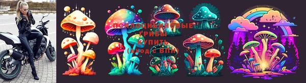 стафф Ельня