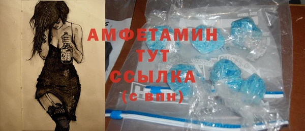 стафф Ельня