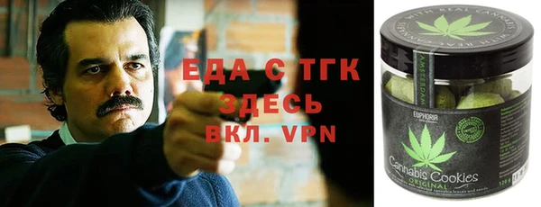 стафф Ельня