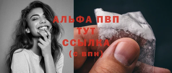 стафф Ельня