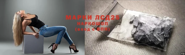 стафф Ельня
