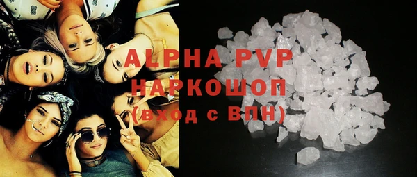 стафф Ельня