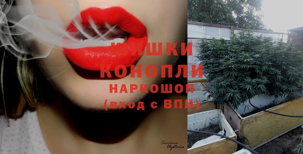 круглые Елизово