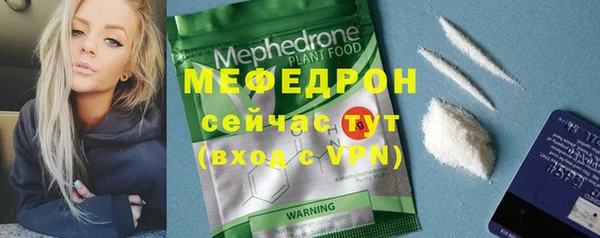 стафф Ельня