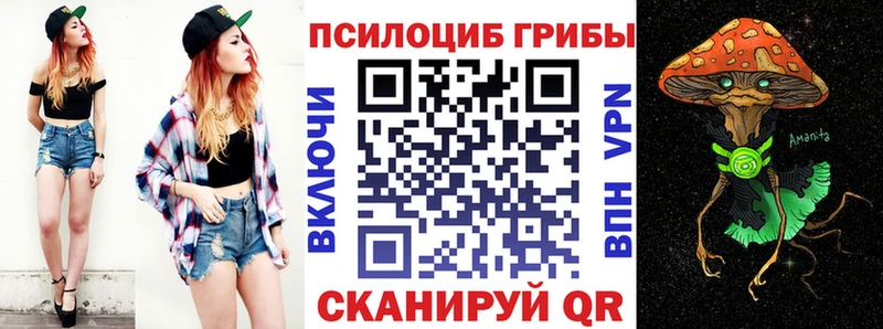 Псилоцибиновые грибы Psilocybine cubensis Купить закладки Киреевск